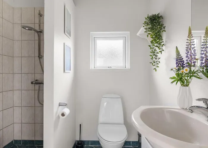 Moa - 350m From The Sea By Interhome * Otterup